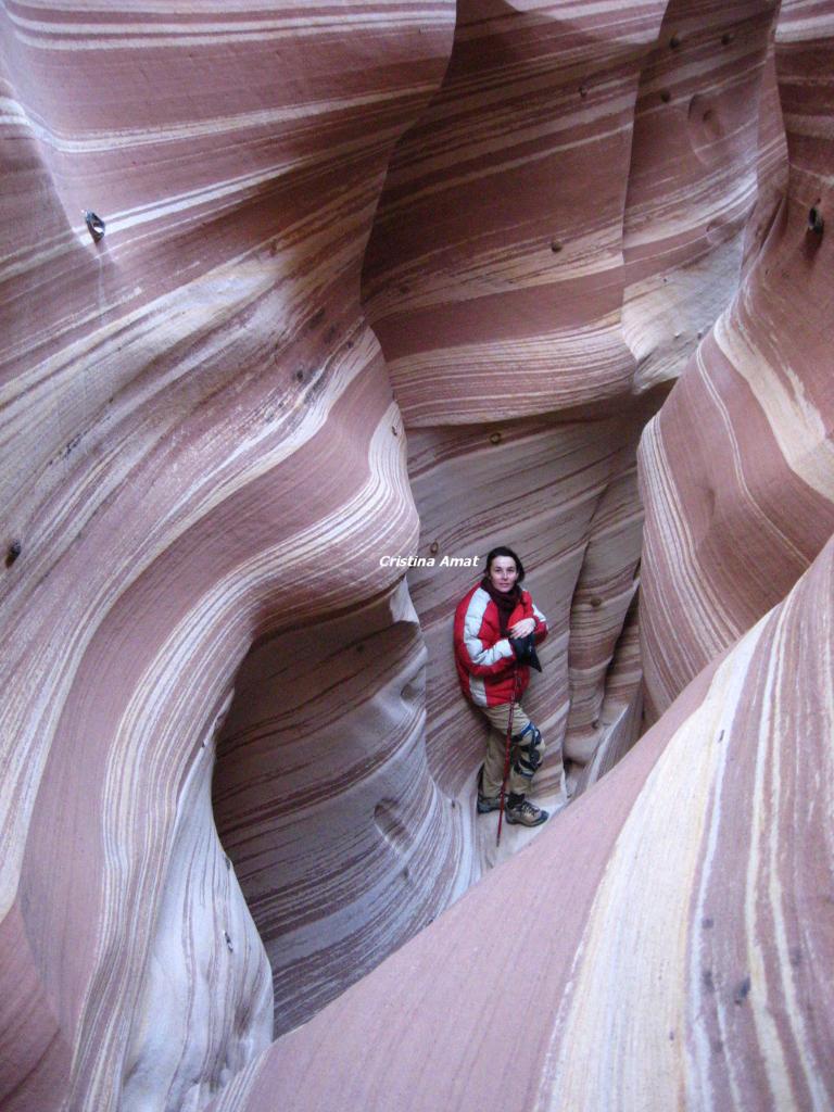 Zebra and tunnel slot escalante ut restaurants