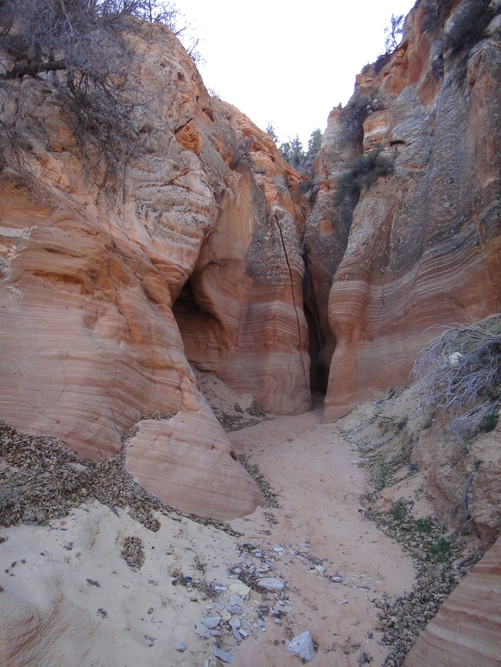 Canyoneering Diana's Throne Canyon - Zion East Side | Road Trip Ryan